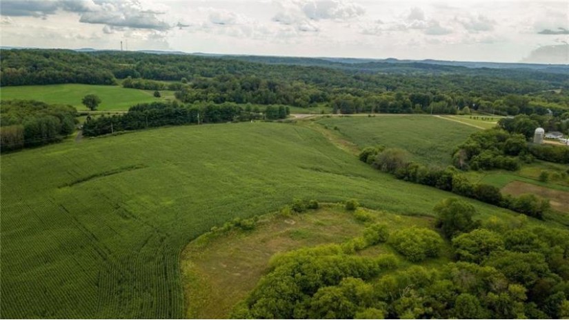 65.25 Acres 550th Street Menomonie, WI 54751 by Eau Claire Realty Llc $599,000