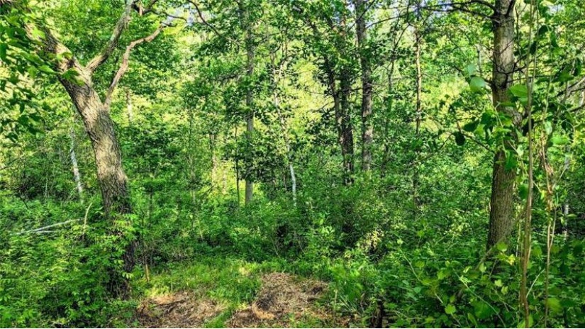 Lot 6 7 5/8 Avenue Chetek, WI 54728 by Woods & Water Realty Inc, Blue Diamond $119,900