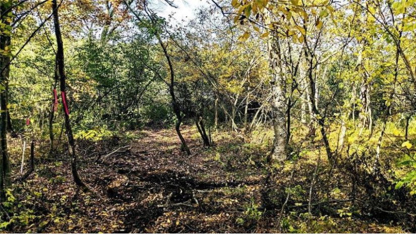 Lot 6 7 5/8 Avenue Chetek, WI 54728 by Woods & Water Realty Inc, Blue Diamond $119,900