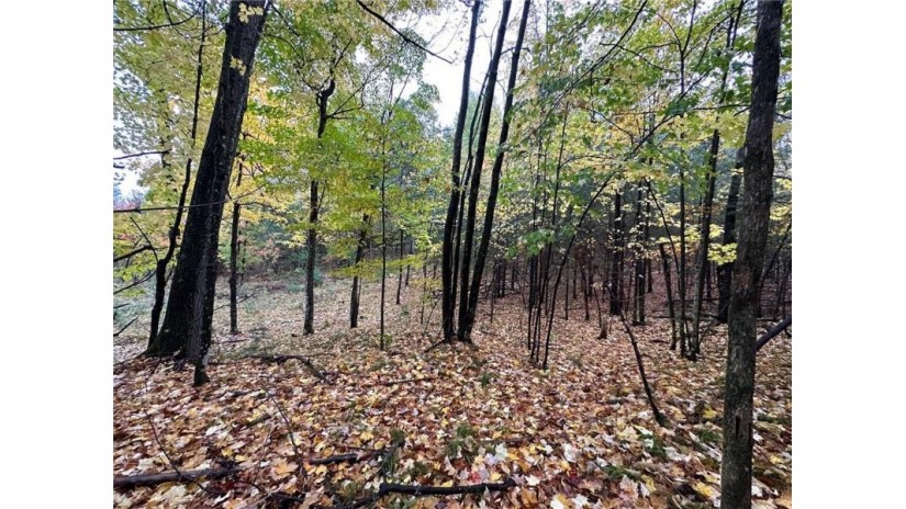 Lot 1 River Road Gordon, WI 54838 by Lakewoods Real Estate $425,000