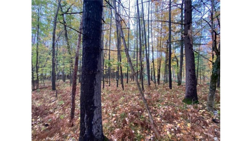 Lot 2 River Road Gordon, WI 54838 by Lakewoods Real Estate $1,100,000