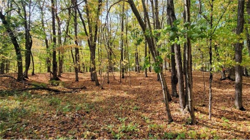 Lot 11 Indian Point Road Chetek, WI 54728 by Woods & Water Realty Inc/Regional Office $175,000