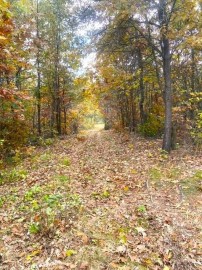 58.87 acres Nash Rd., Black River Falls, WI 54615