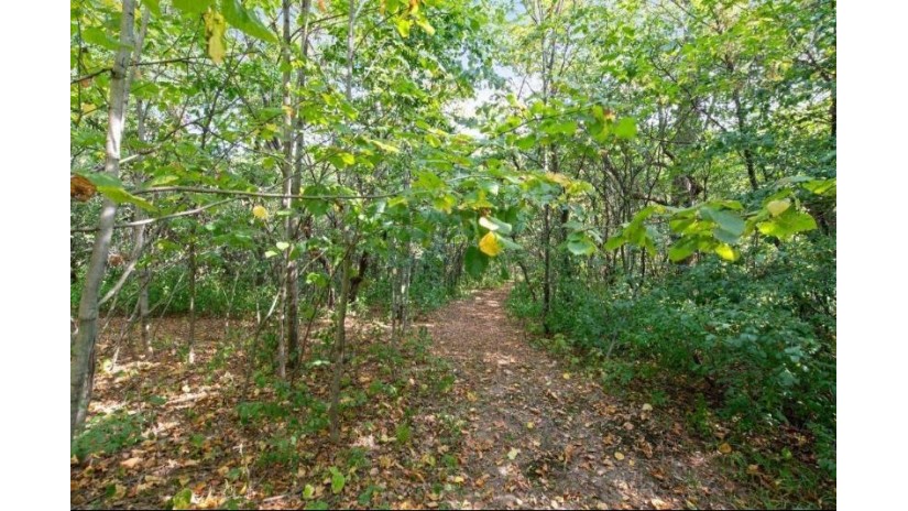 Lot 2 30th Avenue Clear Lake, WI 54005 by Edina Realty, Corp. - St Croix Falls $65,000