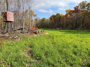 0 Lot 1 Squirrel Road, Hixton, WI 54635