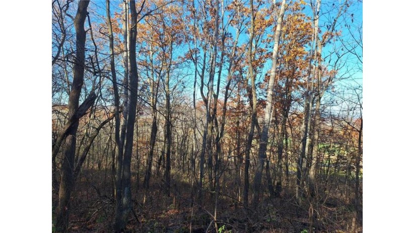 Lot 0 Parker Road Mondovi, WI 54755 by Keller Williams Realty Diversified $59,000