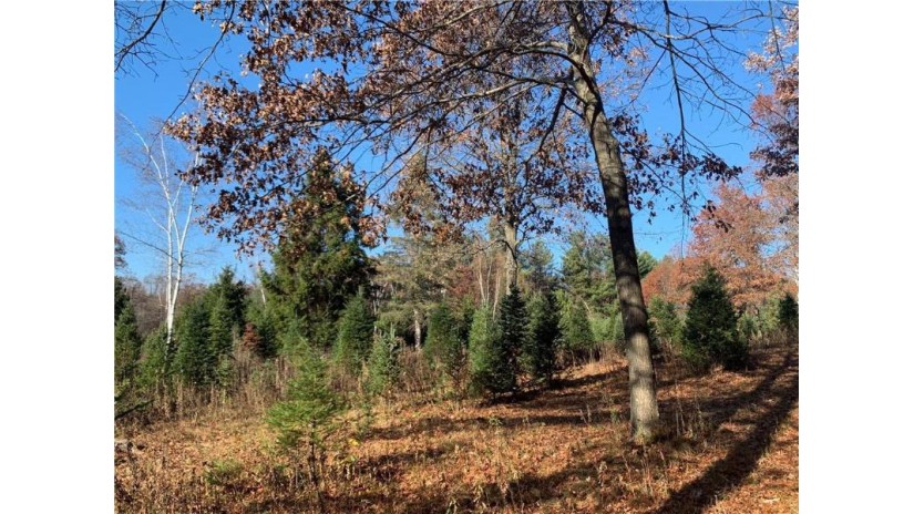 Lot 2 15087 County Hwy M New Auburn, WI 54757 by Larson Realty $150,000