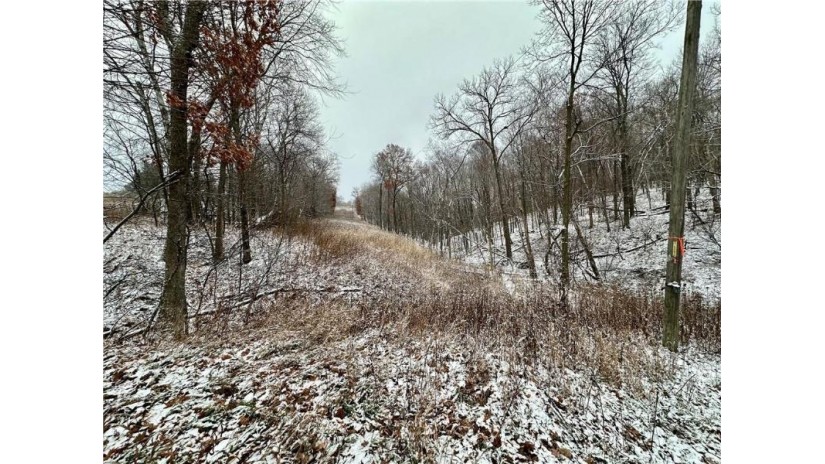 Lot 1(4.72 acres) 50th Avenue Plum City, WI 54761 by Landguys, Llc Of Wisconsin $69,900