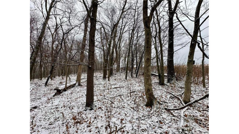 Lot 1(4.72 acres) 50th Avenue Plum City, WI 54761 by Landguys, Llc Of Wisconsin $69,900