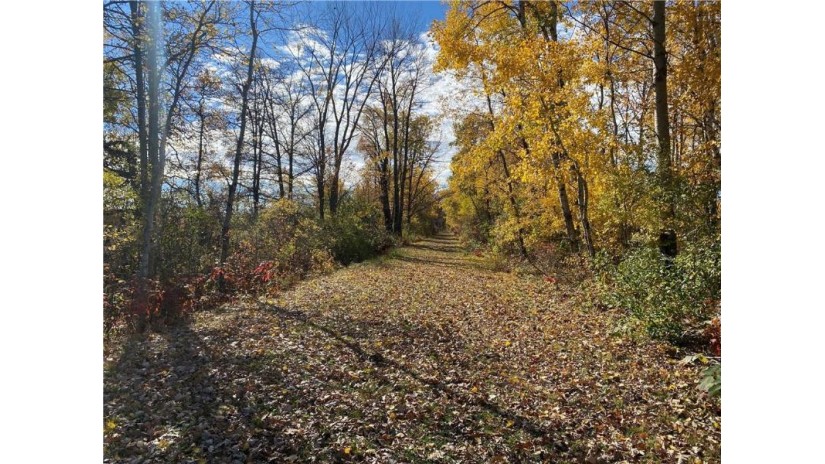 25 Acres 27 1/2 Ave Rice Lake, WI 54868 by Re/Max 4 Seasons, Llc $199,900