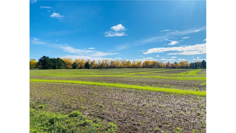 25 Acres 27 1/2 Ave Rice Lake, WI 54868 by Re/Max 4 Seasons, Llc $199,900