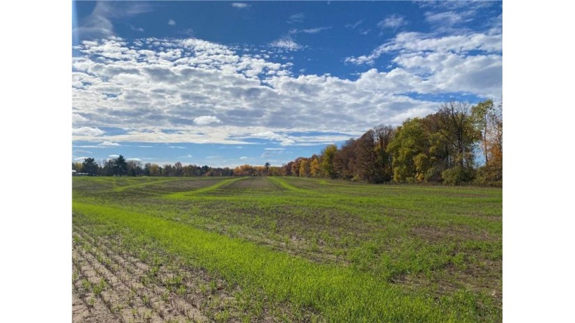 25 Acres 27 1/2 Ave Rice Lake, WI 54868 by Re/Max 4 Seasons, Llc $199,900