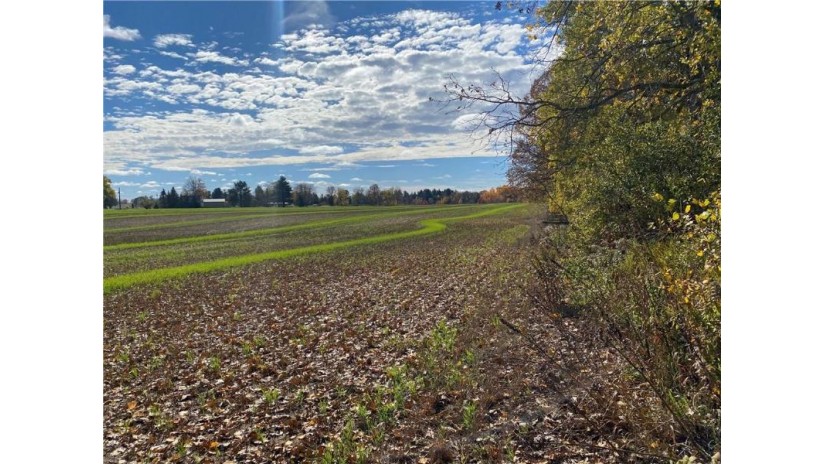 25 Acres 27 1/2 Ave Rice Lake, WI 54868 by Re/Max 4 Seasons, Llc $199,900