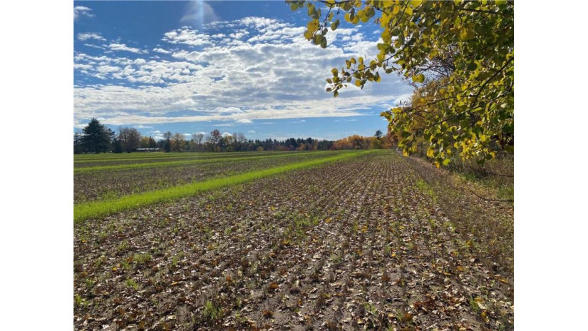 25 Acres 27 1/2 Ave Rice Lake, WI 54868 by Re/Max 4 Seasons, Llc $199,900