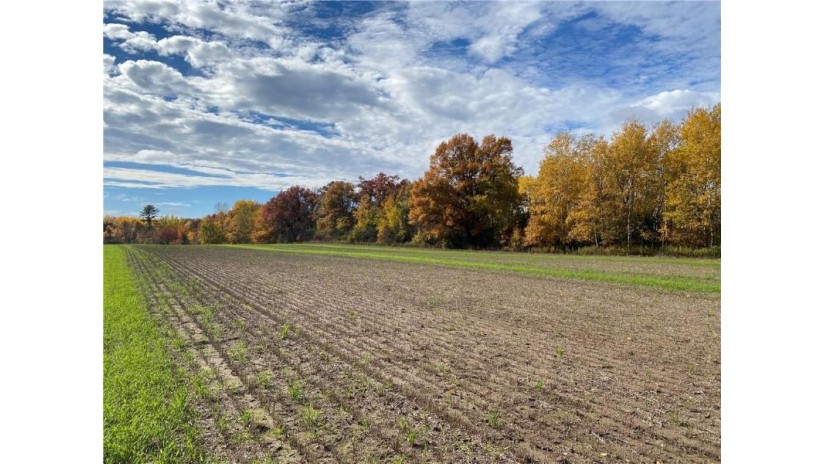 25 Acres 27 1/2 Ave Rice Lake, WI 54868 by Re/Max 4 Seasons, Llc $199,900