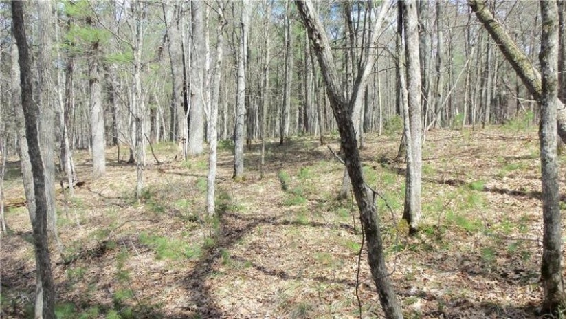 LOT 2 130th St Siren, WI 54872 by Woods & Water Real Estate Llc, Ellsworth $74,900