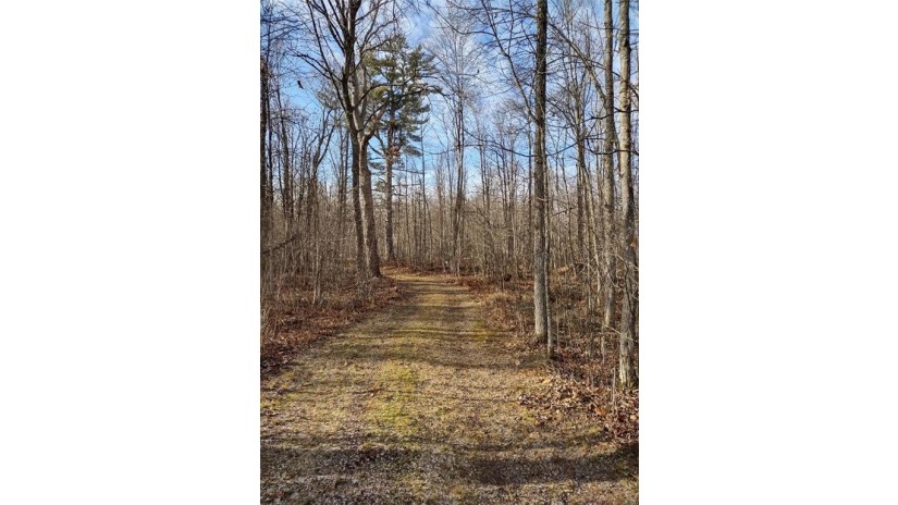 XXX Deer Creek Lane Radisson, WI 54867 by Timber Ghost Realty Llc $129,900