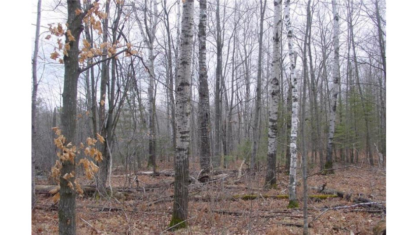 25 Acres On Mae West Road Ladysmith, WI 54848 by Cb Northern Escape/Ladysmith $110,000