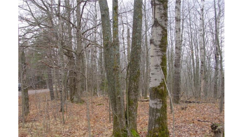 25 Acres On Mae West Road Ladysmith, WI 54848 by Cb Northern Escape/Ladysmith $110,000