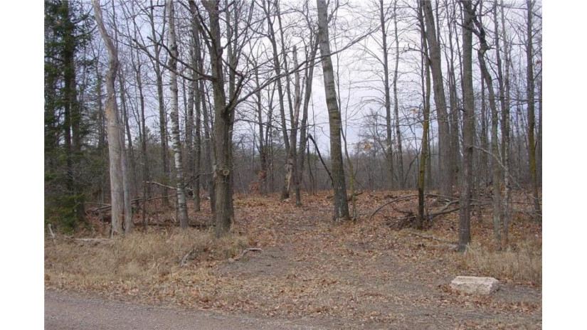 25 Acres On Mae West Road Ladysmith, WI 54848 by Cb Northern Escape/Ladysmith $110,000