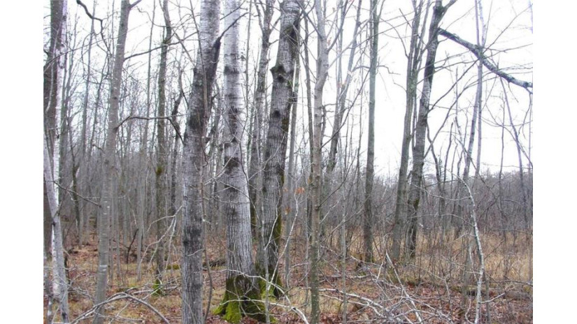 25 Acres On Mae West Road Ladysmith, WI 54848 by Cb Northern Escape/Ladysmith $110,000