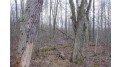 25 Acres On Mae West Road Ladysmith, WI 54848 by Cb Northern Escape/Ladysmith $110,000