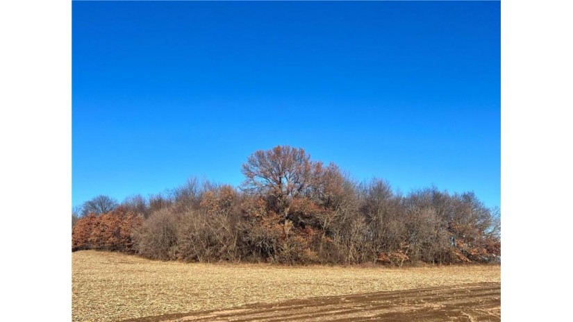 Lot 1 28th Avenue Elk Mound, WI 54739 by Edina Realty, Inc. - Chippewa Valley $129,000