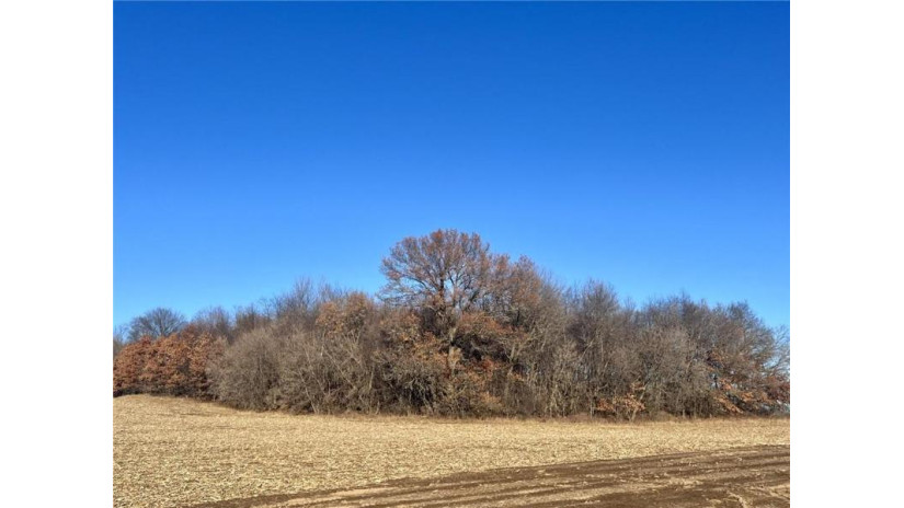 Lot 3 28th Avenue Elk Mound, WI 54739 by Edina Realty, Inc. - Chippewa Valley $159,000