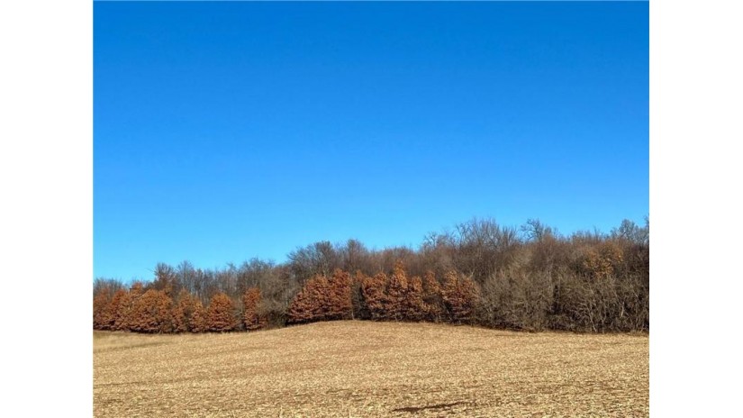 Lot 4 28th Avenue Elk Mound, WI 54739 by Edina Realty, Inc. - Chippewa Valley $129,000