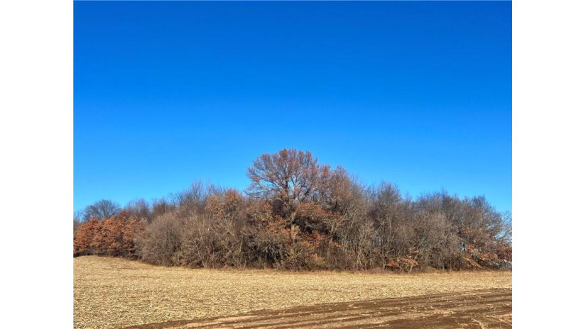 Lot 4 28th Avenue Elk Mound, WI 54739 by Edina Realty, Inc. - Chippewa Valley $129,000