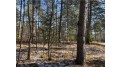 Lot 2 Elaine Drive Hayward, WI 54843 by Woodland Developments & Realty $45,900