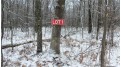 LOT 1 Blackberry Rd Trego, WI 54888 by Woods & Water Real Estate Llc, Ellsworth $34,900