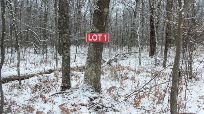 LOT 1 Blackberry Rd Trego, WI 54888 by Woods & Water Real Estate Llc, Ellsworth $34,900