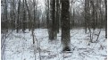LOT 2 Blackberry Rd Trego, WI 54888 by Woods & Water Real Estate Llc, Ellsworth $34,900