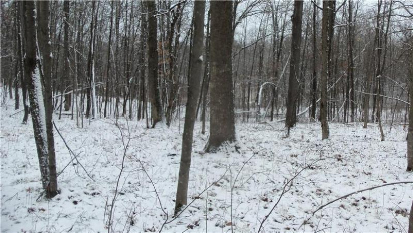 LOT 3 Blackberry Rd Trego, WI 54888 by Woods & Water Real Estate Llc, Ellsworth $34,900