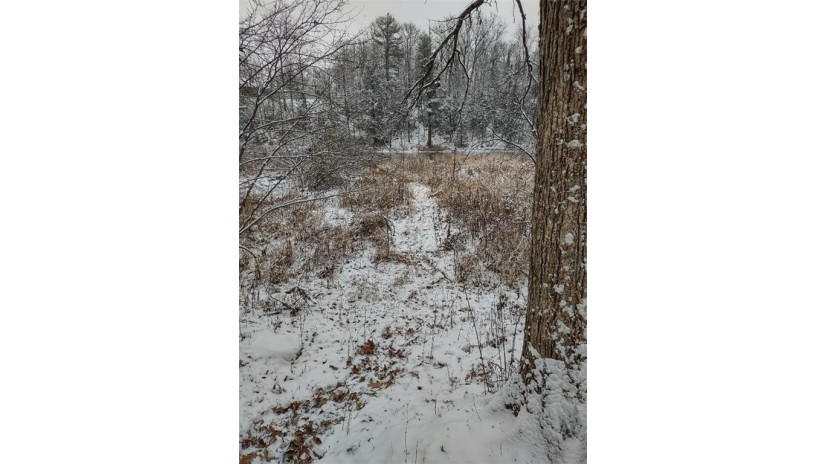 10635W Deer Creek Lane Radisson, WI 54835 by Timber Ghost Realty Llc $88,900