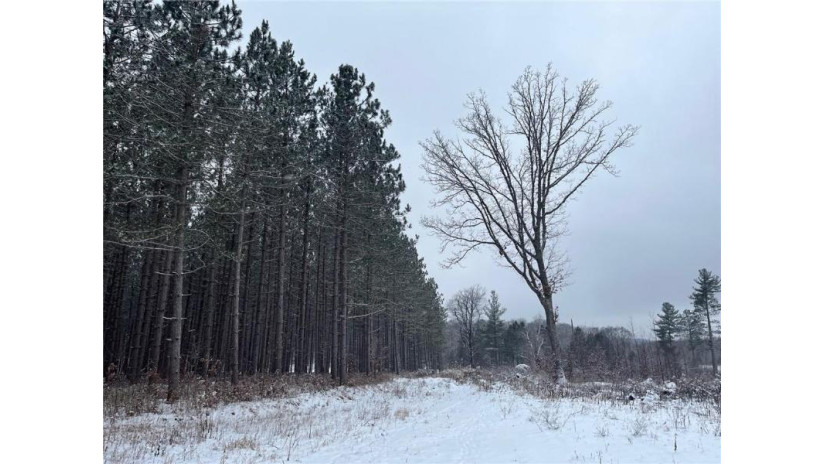 N/A County Highway A Springbrook, WI 54875 by Burke Realty Llc $180,000