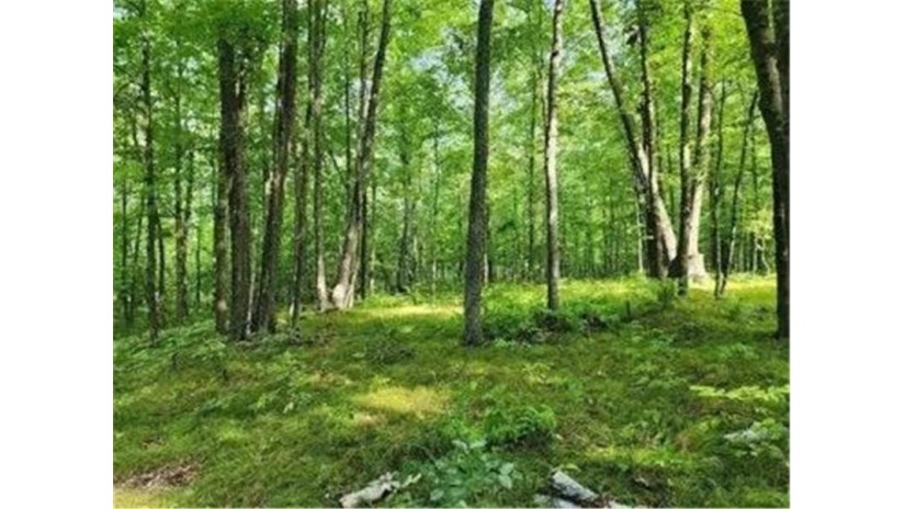 Lot 37 Skylight Terrace Danbury, WI 54830 by Keller Williams Premier Realty/Vadnais $9,250