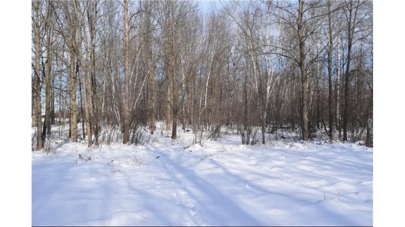xxxx County Road N Arpin, WI 54410 by Hansen Real Estate Group $450,000