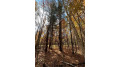 Lot 3 (5.10 Acres) M Highway Elk Mound, WI 54739 by Landguys, Llc Of Wisconsin $139,900