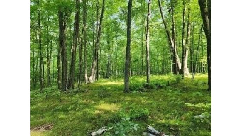 Lot 13 Honey Tree Road Danbury, WI 54830 by Keller Williams Premier Realty/Vadnais $5,995