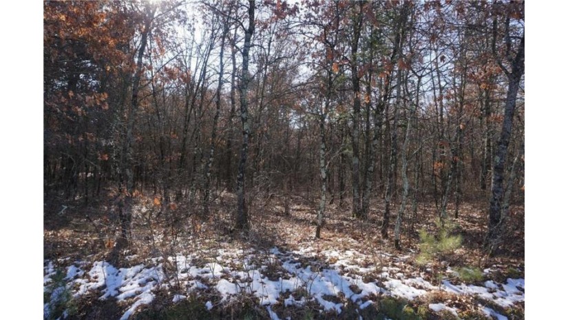 Lot 10 Scotters Trl Merrillan, WI 54754 by Clearview Realty Llc $29,900