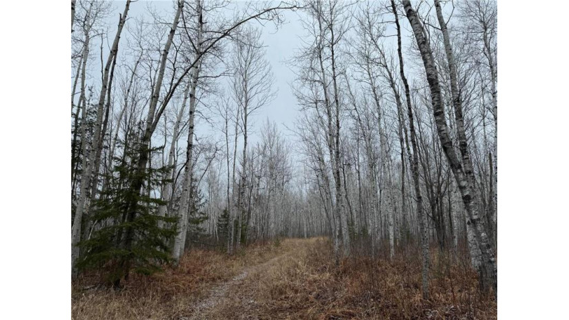 80 acres Tar Paper Alley Brule, WI 54820 by Woodland Developments & Realty $125,000