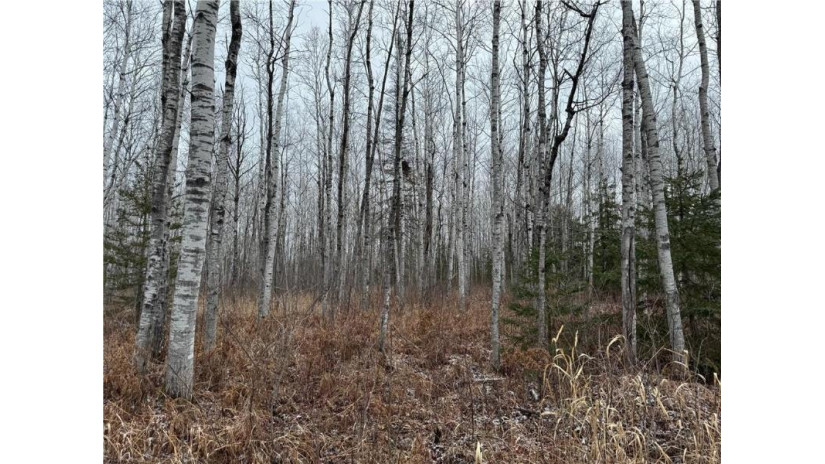 80 acres Tar Paper Alley Brule, WI 54820 by Woodland Developments & Realty $125,000