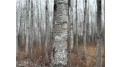 80 acres Tar Paper Alley Brule, WI 54820 by Woodland Developments & Realty $125,000