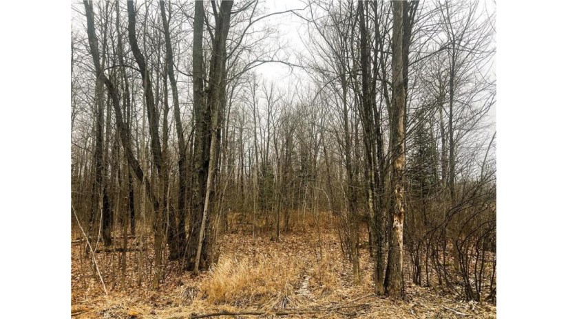 10 Acres on Andys Road Ingram, WI 54526 by Cb Northern Escape/Ladysmith $39,900