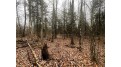 10 Acres on Andys Road Ingram, WI 54526 by Cb Northern Escape/Ladysmith $39,900