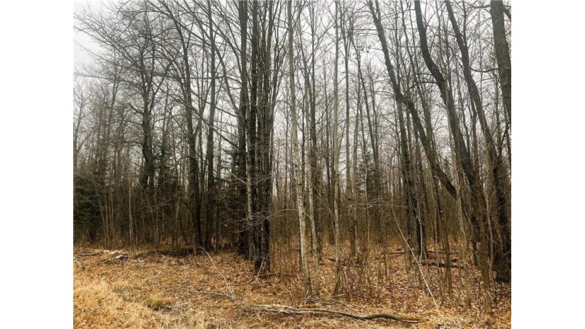 10 Acres on Andys Road Ingram, WI 54526 by Cb Northern Escape/Ladysmith $39,900