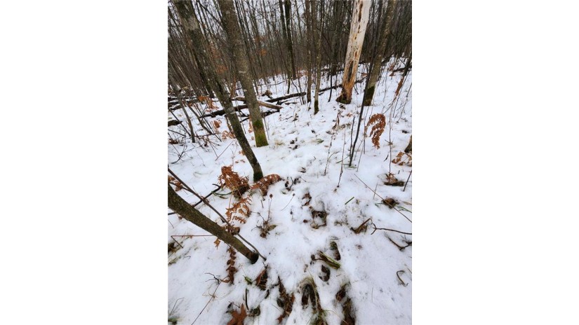 lot 11 28 11/16 Birchwood, WI 54817 by Landguys, Llc Of Wisconsin $19,900