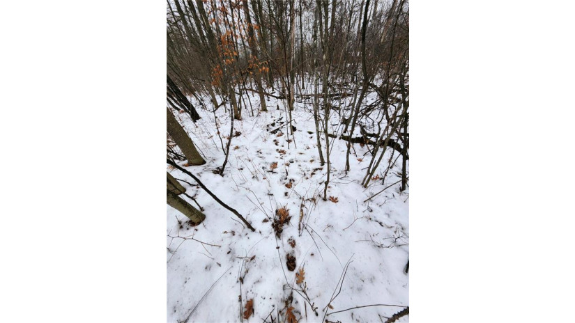 lot 11 28 11/16 Birchwood, WI 54817 by Landguys, Llc Of Wisconsin $19,900